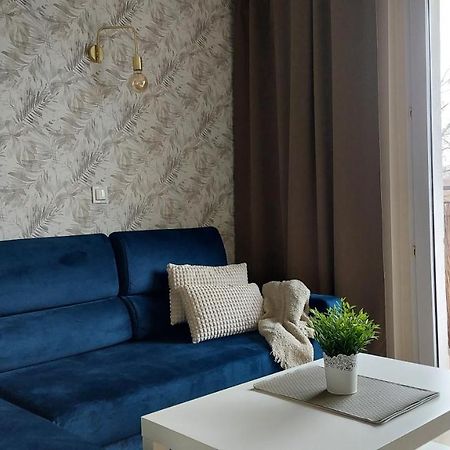 Apartament Skamander Stary Toruń Exteriör bild